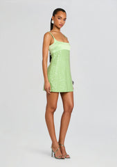 Monyca Sequin Dress